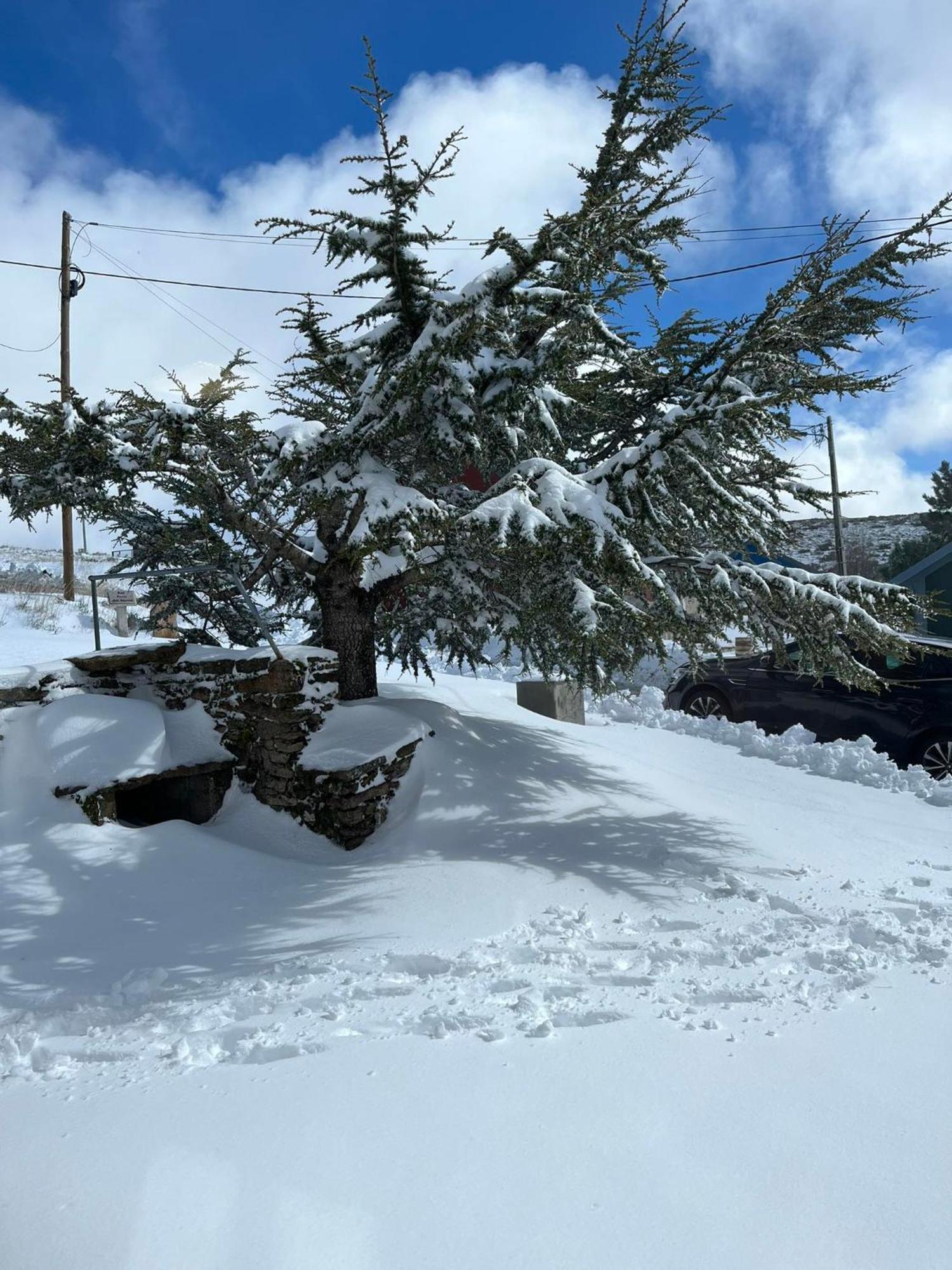 Casa Dos Pinheiros - Serra Da Estrela Penhas da Saúde Exterior foto